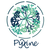 Logo PYXINE ROUEN